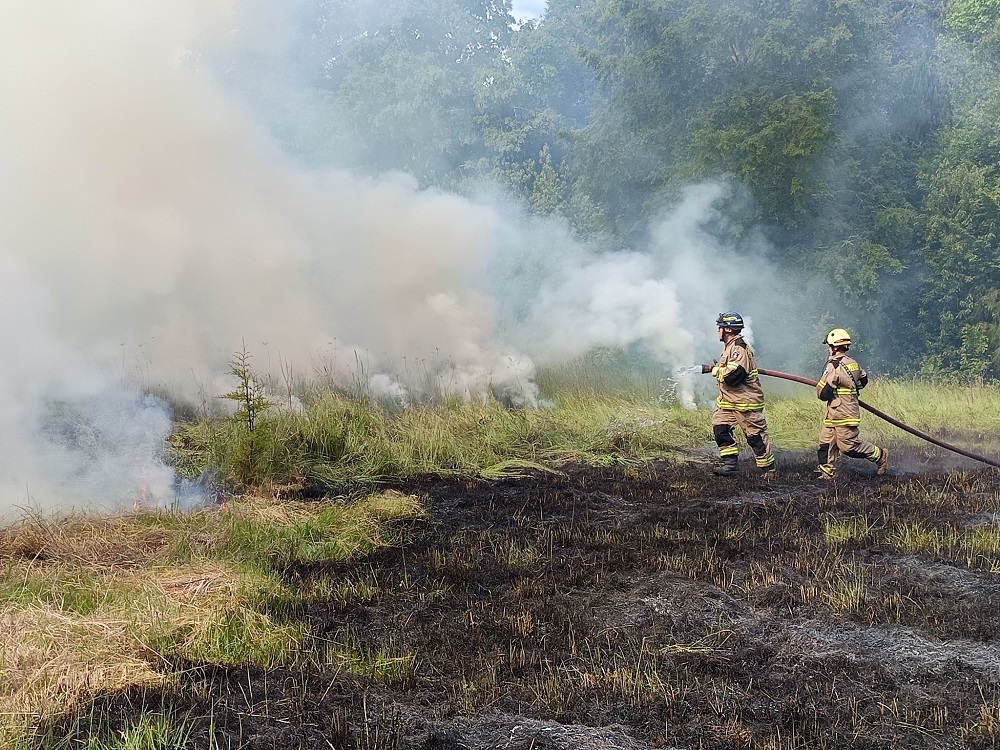 Oficina de Gestión de Riesgos de Desastres (GRD) Lanco refuerza la prevención de incendios forestales de cara a la temporada de verano