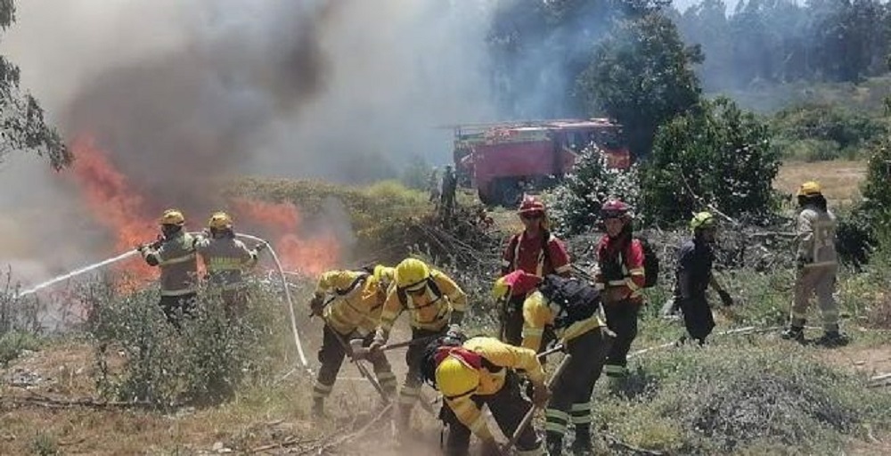 Bomberos de Panguipulli, Malalhue y CONAF trabajaron en conjunto para combatir incendio forestal