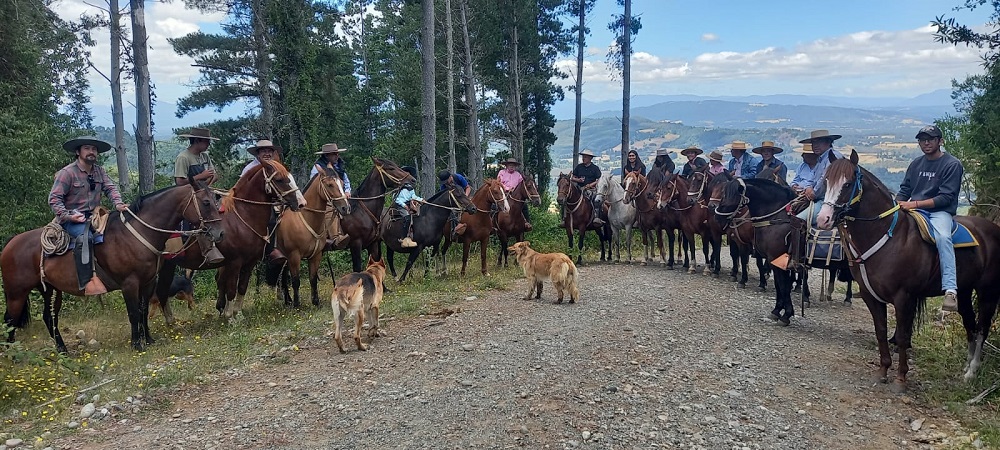 Club de Huasos y Tradiciones Campesinas de Antilhue realiza su Primera Cabalgata