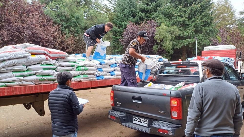 Más de 1.800 familias campesinas de Los Ríos reciben apoyo de INDAP con praderas suplementarias para enfrentar el invierno Más de 1.800 familias campesinas de Los Ríos reciben apoyo de INDAP con praderas suplementarias para enfrentar el invierno