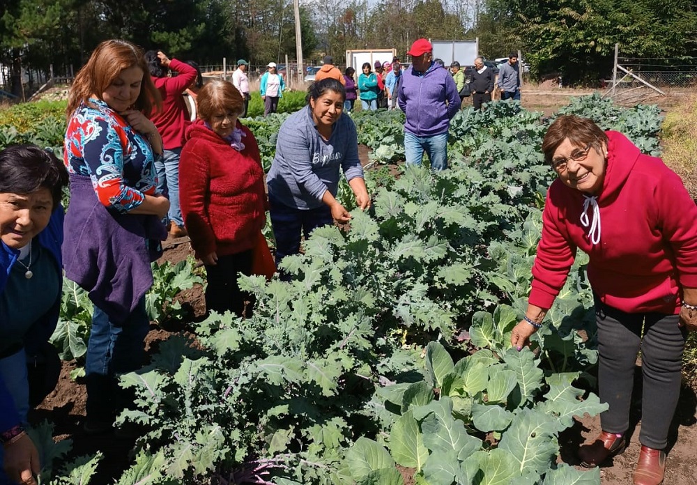 Ministerio de Agricultura invita a jornada gratuita y virtual sobre tecnologías para reducir riesgos en el agro Ministerio de Agricultura invita a jornada gratuita y virtual sobre tecnologías para reducir riesgos en el agro