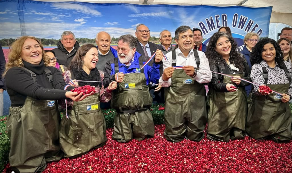 Lanco da la bienvenida al Primer Encuentro del Cranberry, una experiencia única en el sur de Chile Lanco da la bienvenida al Primer Encuentro del Cranberry, una experiencia única en el sur de Chile