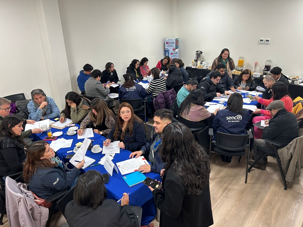 Consejo Regional de Capacitación realiza taller con representantes de comunas de Los Ríos Consejo Regional de Capacitación realiza taller con representantes de comunas de Los Ríos